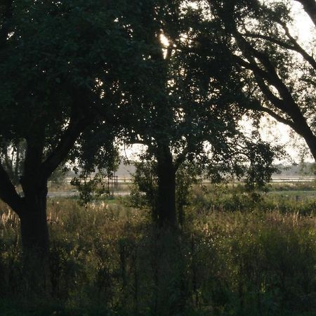 Landhaus An Der Wiek Poseritz Zewnętrze zdjęcie