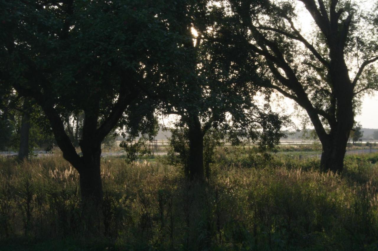 Landhaus An Der Wiek Poseritz Zewnętrze zdjęcie